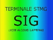 Terminale SIG – Lycée Algoud-Laffemas de Valence (26)